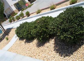 Palmdale Plaza