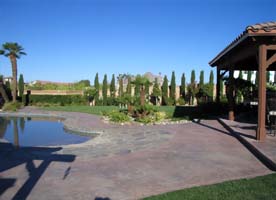 Backyard Oasis